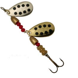 2-GSBD